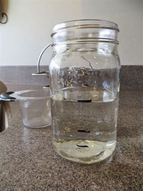 Apr 21, 2020 · a gallon (gal) is the same as 16 cups or 8 pints or 4 quarts. Adventures with Natural Yeast: Getting Started with ...