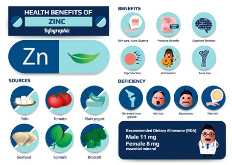 What Does Zinc Do For Your Body Top 10 Benefits Of Zinc For Men And Women Healthy Insights