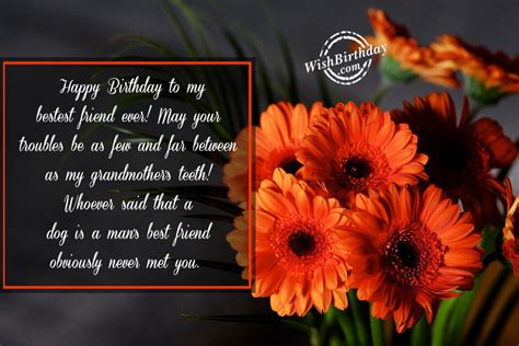 Best Friend Wishes Happy Birthday My Dear Friend Quotes Wishes