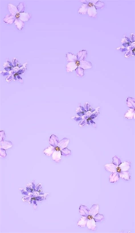Plain Pastel Purple Aesthetic Wallpaper Uvhety