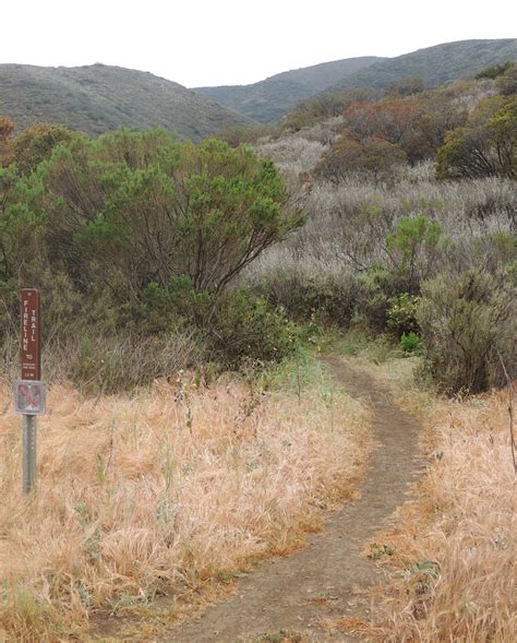 1000 Hikes In 1000 Days Day 890 Wood Canyon Vista Trail Backbone
