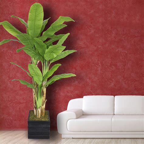 Bloomsbury Market Tall Banana Leaf Tree In Planter And Reviews Wayfair