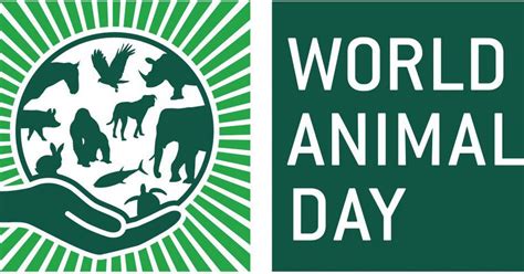 World Animal Day 2019 Why It Is Celebrated On 4th October