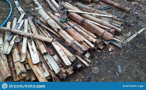 Old Rotten Bamboo Wood Pile Stock Image Image Of Vehicle Food 257797231