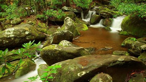 Wallpaper Stones Stream Moss Greens Hd Picture Image