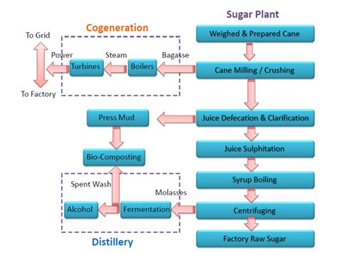 Sugar Production Process