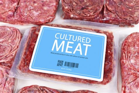 7 Potential Benefits Of Cultured Meat Consumption