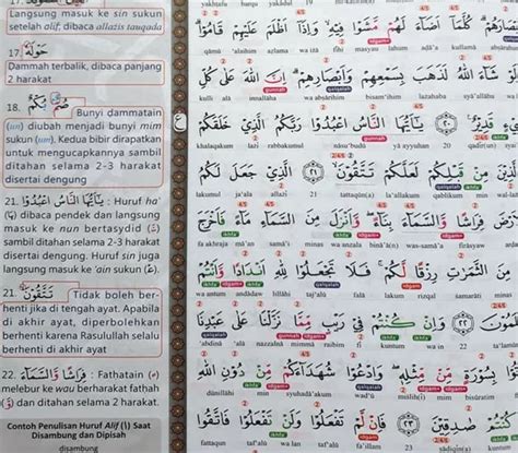 Belajar Membaca Al Quran Bagi Pemula