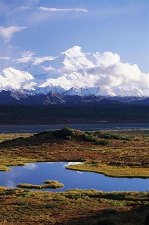 Pin By The Great Camping World On Camping National Parks Denali