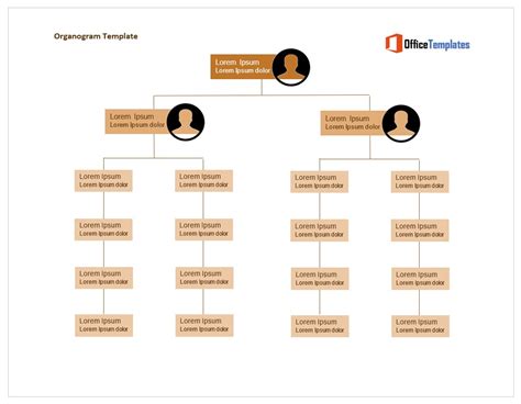 31 Free Organogram Templates And Organizational Charts