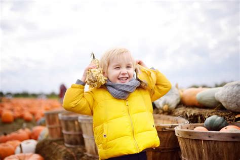 What To Do In Edmonton This Weekend With Kids October 18 20