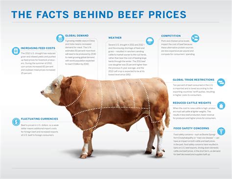 Infographic Facts Behind Beef Prices 3300×2550 Infographics Pinterest Infographic