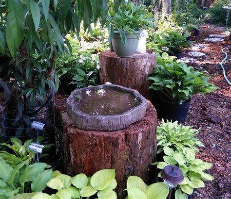 25 Decorative Bird Bath Garden Ideas The Backyard Baron