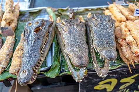 Buaya Bakar Di Pasar Thailand Bangkok Foto Stok Unduh Gambar Sekarang