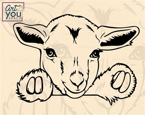 Pygmy Goat Kid Svg Files Cricut Cute Animal Clipart Etsy