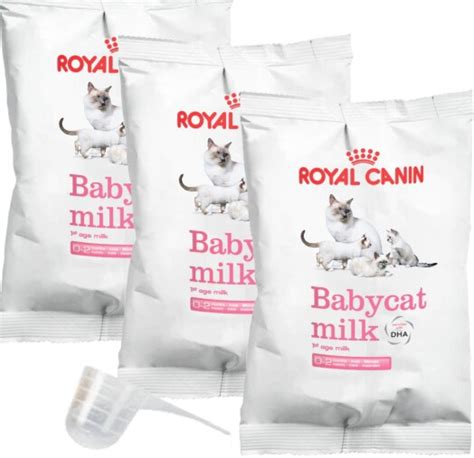 Kini, bacaterus akan memberikan rekomendasi susu. 13 Susu yang Sesuai untuk Anak Kucing Baru Lahir Beserta ...
