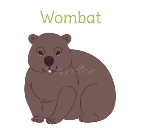 The Wombat Is Sitting Australian Bird In A Simple Style Stock Vector