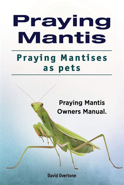Buy Praying Mantis Praying Mantises As Pets Praying Mantis Owners