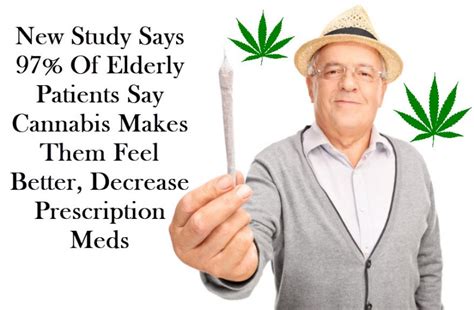 97 of elderly patients say cannabis makes them feel better and decreases prescription meds
