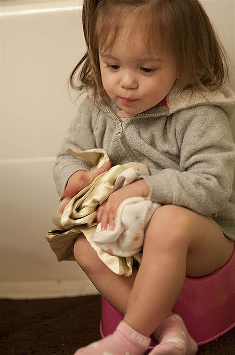 The potty training potty itself. Pretty Little Life: Potty Training: Update