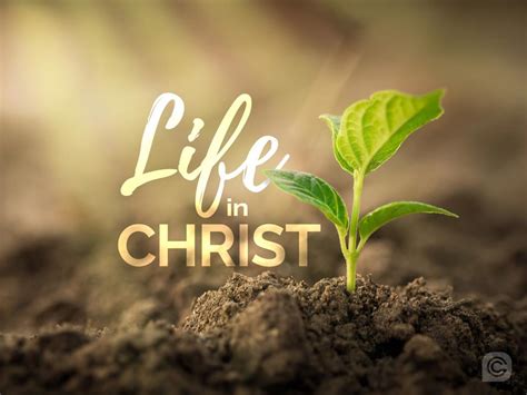 Life In Christ Christ Central