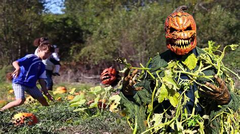 Pumpkin Patch Killer Halloween Hidden Camera Practical Joke Youtube