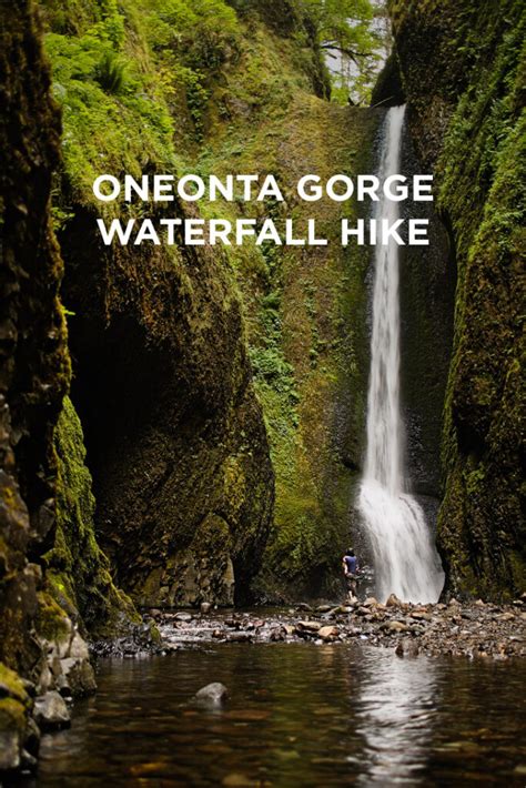 The Oneonta Gorge Hike To Lower Oneonta Falls Local Adventurer