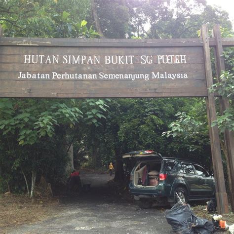 Reserved forest areas such as hutan simpan triang and hutan simpan kenaboi have been established, which serves as a natural habitat for wild animals such as tigers, wild boars, bears, tapirs, and monkeys. Hutan Simpan In English - sanx-xox