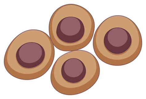 Round Stem Cell In Brown Color Download Free Vectors