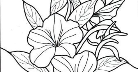 27 Gambar Bunga Sketsa Hitam Putih