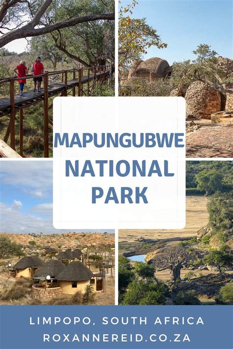 Mapungubwe National Park Everything You Need To Know Africa Travel