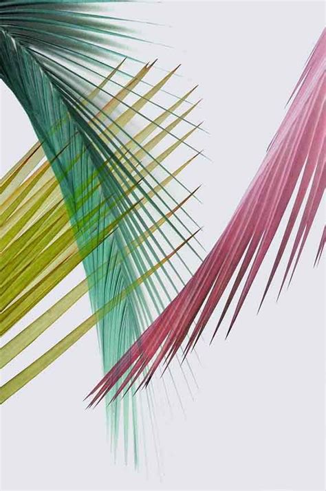 Palm leaf print, tropical leaves print, tropical poster print, minimalist poster, digital print hyggeprintsdigital. Palm Leaf Print, Pink Green Wall Art, Tropical Poster ...