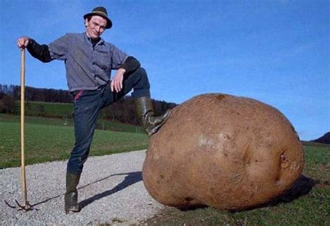 These 11 Pictures Of Giant Veggies Will Blow Your Mind Epic Gardening