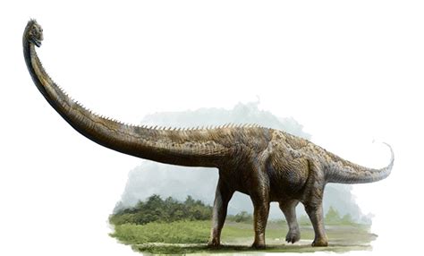 Mamenchisaurus Dinosaur Wiki Fandom Powered By Wikia