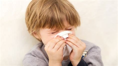 What Causes Sinus Infections In Adults 14 Reasons