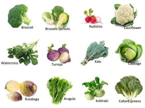 All About Cruciferous Vegetables