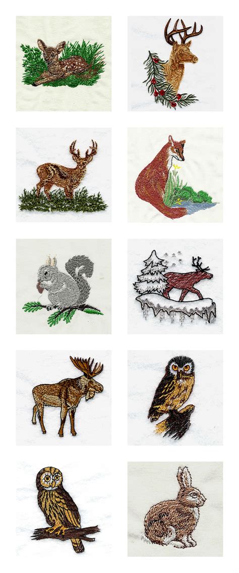 Machine Embroidery Designs Realistic Wildlife Set