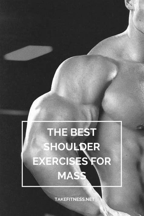 The Best Shoulder Exercises For Mass Qanda Fitness Shoulder Mass
