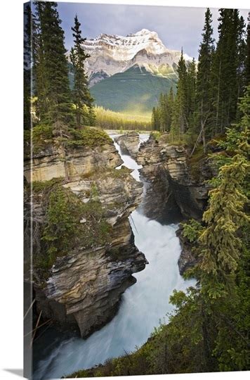 Canada Alberta Jasper National Park Athabasca Falls