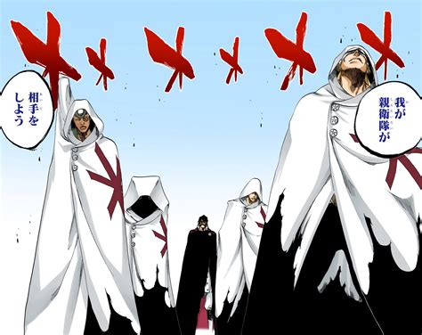 Askin Nakk Le Vaar Galería Bleach Wiki Fandom Powered By Wikia