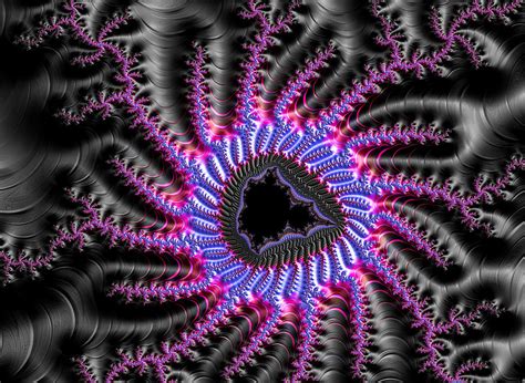 Digital Fractal Art Purple Blue And Black Digital Art By