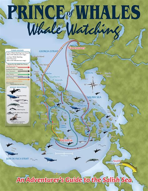 Half Day Whale Watching Vancouver Bc Prince Of Whales Vancouver