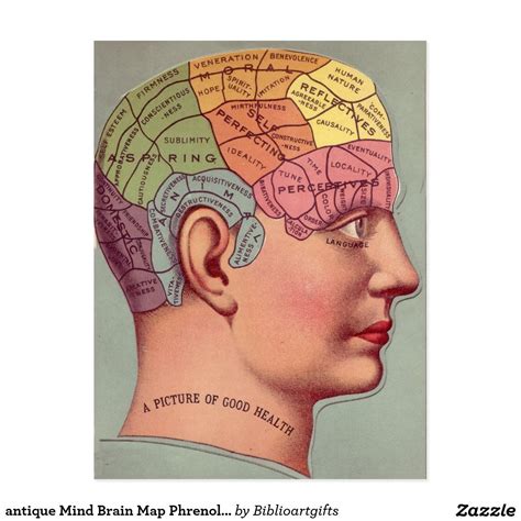 *free* shipping on qualifying offers. antique Mind Brain Map Phrenology head Postcard | Zazzle ...