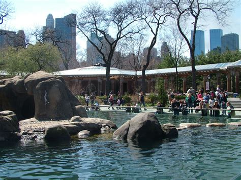 The central park zoo may be the oldest municipal zoo in the united states. Spend a day full of Joy at Central Park Zoo, New York