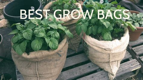 Best Grow Bags T5 Grow Light Fixtures