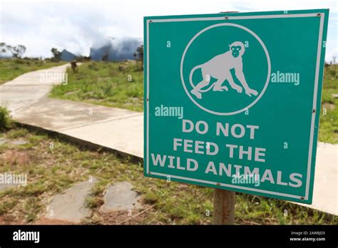 Green Sign Telling To Not Feed Wild Animals Stock Photo Alamy