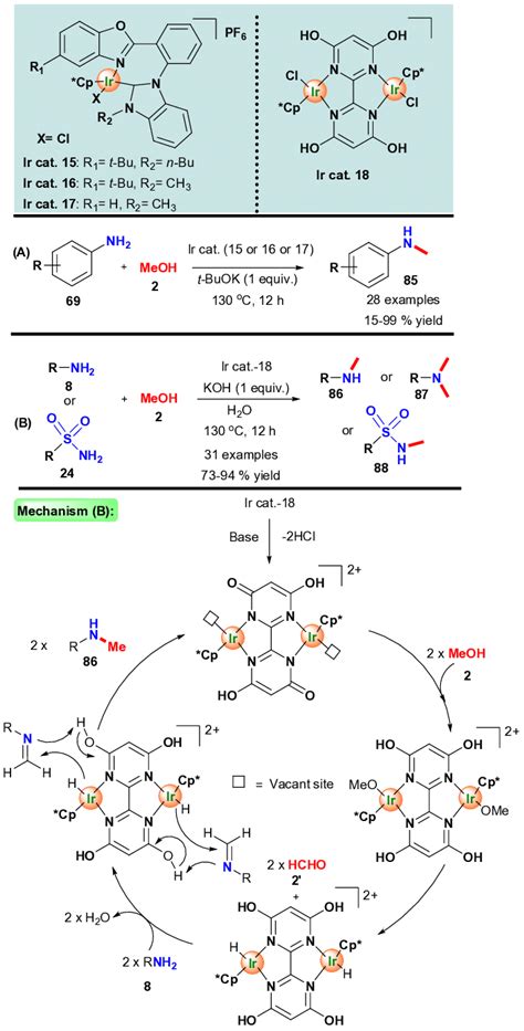 Scheme 22 Ir Catalyzed N Methylation Of Amines Hou Et Al Proposed