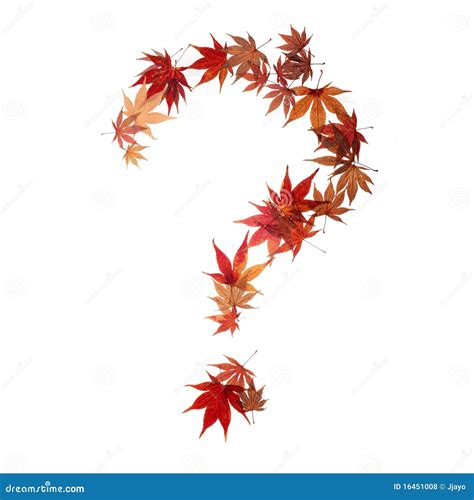 Question Mark Made By Maple Autumn Leaves Royalty Free Stock Photos