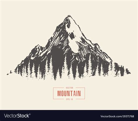 Hand Drawn Mountain Landscape Pine Forest Vector Image