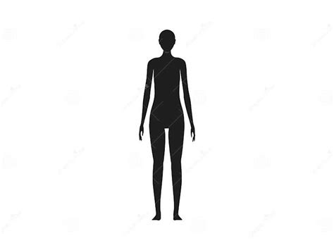 Front View Of A Female Human Body Silhouette Stock Vector